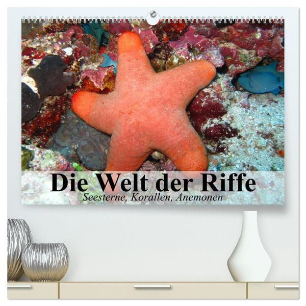 Die Welt der Riffe. Seesterne, Korallen, Anemonen (hochwertiger Premium Wandkalender 2024 DIN A2 quer), Kunstdruck in Ho