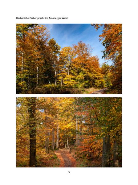 Produktbild: Bilderbuch-Wanderungen im Arnsberger Wald und Umgebung