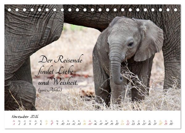 Produktbild: AFRIKA - Kontinent der Poesie (Tischkalender 2026 DIN A5 quer), CALVENDO Monatskalender