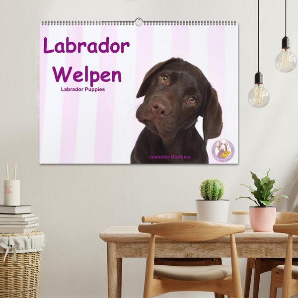 Produktbild: Labrador Welpen - Labrador Puppies (Wandkalender 2026 DIN A2 quer), CALVENDO Monatskalender