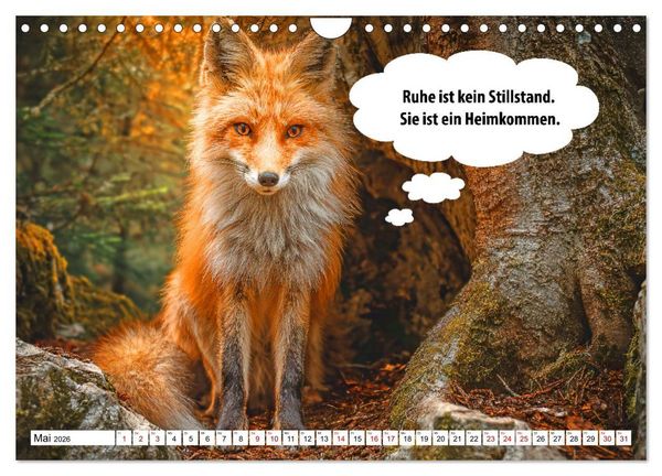 Produktbild: Stille Pfoten, weise Worte - Tiere zeigen dir den Weg zu mehr Gelassenheit (Wandkalender 2026 DIN A4 quer), CALVENDO Monatskalender