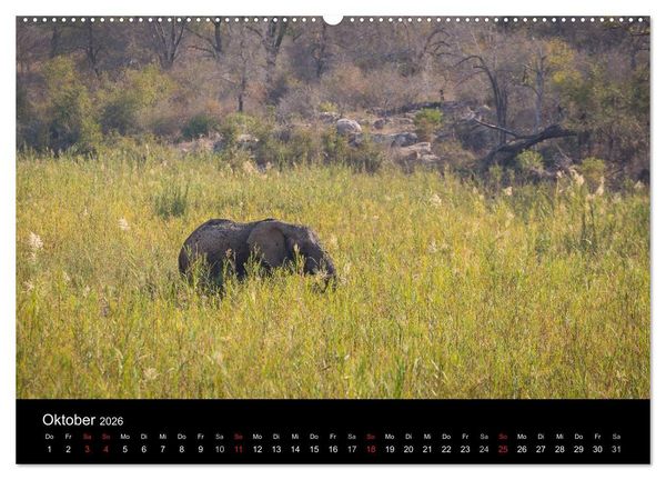 Produktbild: Wundersch&ouml;nes S&uuml;dafrika (Wandkalender 2026 DIN A2 quer), CALVENDO Monatskalender