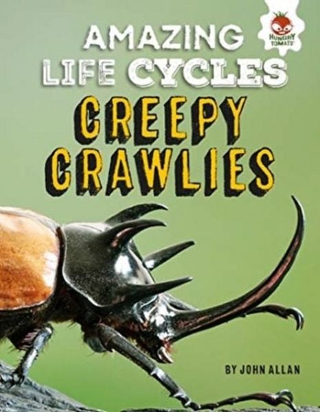 Produktbild: Amazing Life Cycles-Minibeasts