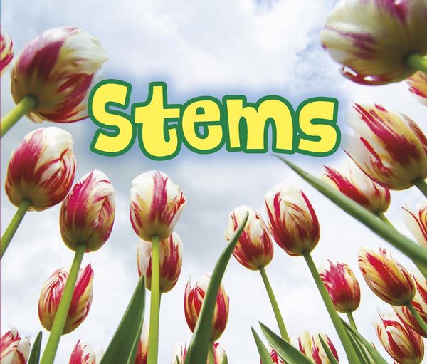 Produktbild: All About Stems