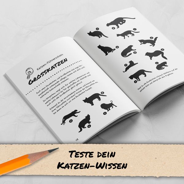 Produktbild: Dieses Buch ist eine Katze