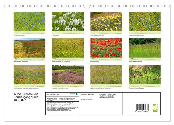 Produktbild: Wilde Blumen - ein Spaziergang durch die Natur (Wandkalender 2026 DIN A3 quer), CALVENDO Monatskalender