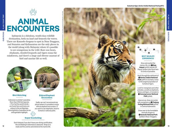 Produktbild: Lonely Planet Indonesia