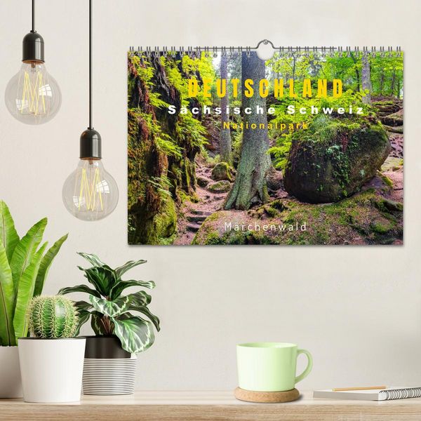 Produktbild: DEUTSCHLAND, S&auml;chsische Schweiz Nationalpark, M&auml;rchenwald (Wandkalender 2026 DIN A4 quer), CALVENDO Monatskalender
