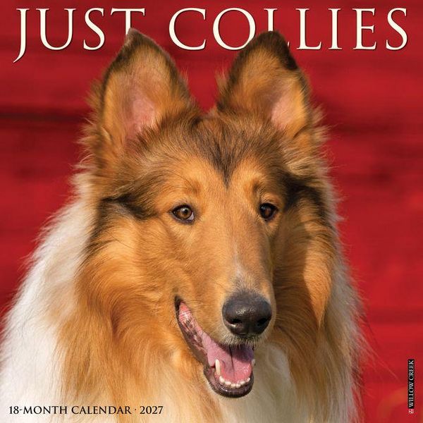 Produktbild: Collies 2027 12 X 12 Wall Calendar