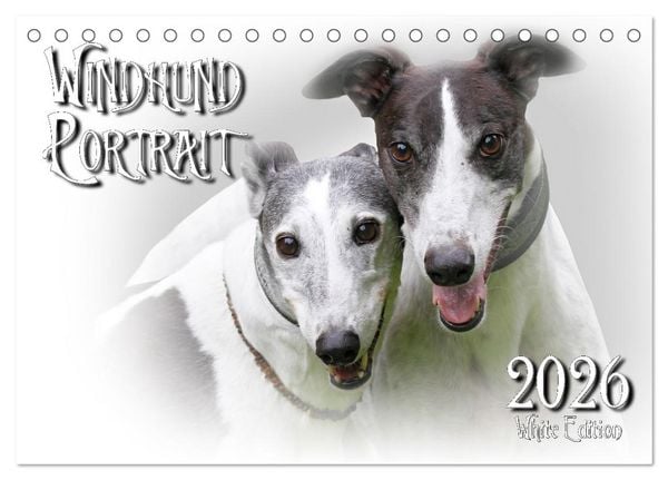 Produktbild: Windhund Portrait 2026 White Edition (Tischkalender 2026 DIN A5 quer), CALVENDO Monatskalender