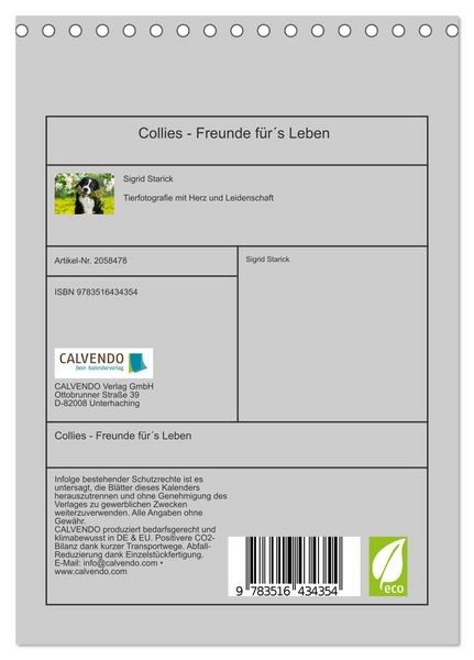 Produktbild: Collies - Freunde f&uuml;r&acute;s Leben (Tischkalender 2026 DIN A5 hoch), CALVENDO Monatskalender