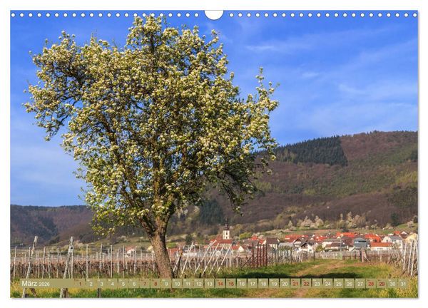 Produktbild: Augenschmaus Pf&auml;lzer Wald (Wandkalender 2026 DIN A3 quer), CALVENDO Monatskalender