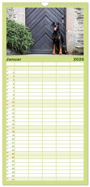 Produktbild: Familienplaner 2026 - Dobermann mit 5 Spalten (Wandkalender, 21 x 45 cm) CALVENDO