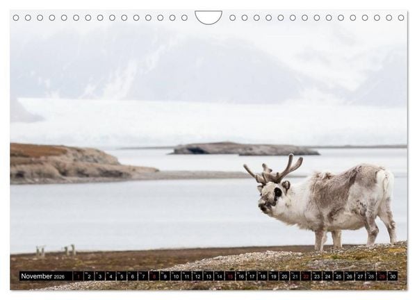 Produktbild: Spitzbergen - Arktische Impressionen (Wandkalender 2026 DIN A4 quer), CALVENDO Monatskalender