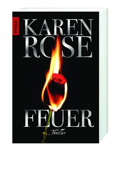 Produktbild: Feuer / Lady-Thriller Bd.11