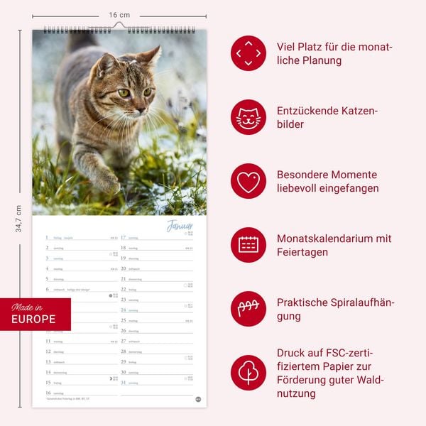Produktbild: Katzen slim - Auf sanften Pfoten Kalender 2027