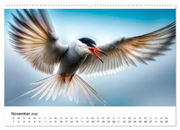 Produktbild: Seeschwalben - Meister der L&uuml;fte (Wandkalender 2026 DIN A2 quer), CALVENDO Monatskalender