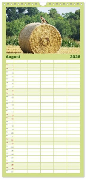 Produktbild: Familienplaner 2026 - Jahreszeiten mit 5 Spalten (Wandkalender, 21 x 45 cm) CALVENDO