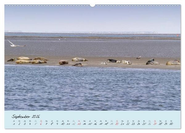 Produktbild: Nordsee &ndash; D&uuml;nen, Sand, Wasser und Wolken (hochwertiger Premium Wandkalender 2026 DIN A2 quer), Kunstdruck in Hochglanz