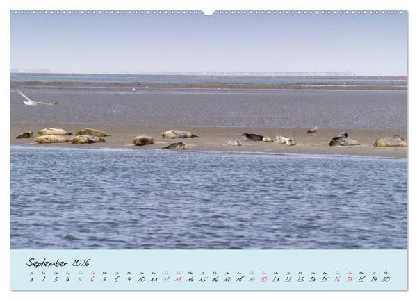 Produktbild: Nordsee &ndash; D&uuml;nen, Sand, Wasser und Wolken (Wandkalender 2026 DIN A2 quer), CALVENDO Monatskalender