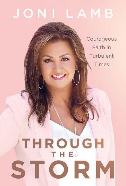 Produktbild: Through the Storm