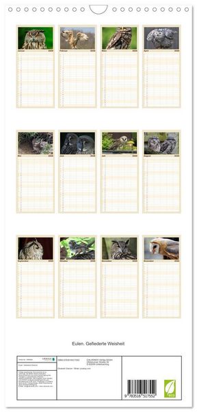 Produktbild: Familienplaner 2026 - Eulen. Gefiederte Weisheit mit 5 Spalten (Wandkalender, 21 x 45 cm) CALVENDO
