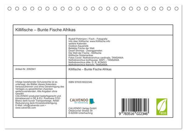 Produktbild: Killifische &ndash; Bunte Fische Afrikas (Tischkalender 2026 DIN A5 quer), CALVENDO Monatskalender