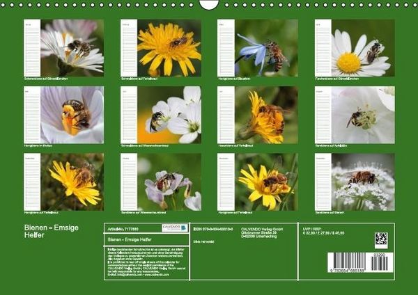 Produktbild: Bienen - Emsige Helfer (Wandkalender immerw&auml;hrend DIN A3 quer)