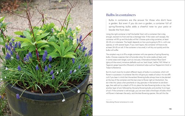 Produktbild: Growing Bulbs in the Natural Garden