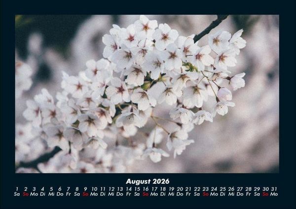 Produktbild: Blumentr&auml;ume 2026 Fotokalender DIN A4