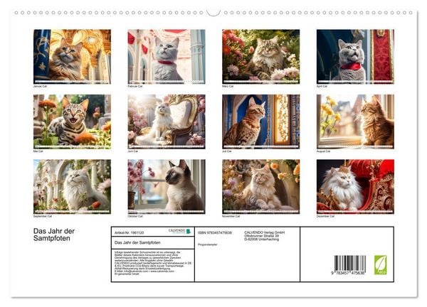 Produktbild: Das Jahr der Samtpfoten (hochwertiger Premium Wandkalender 2026 DIN A2 quer), Kunstdruck in Hochglanz