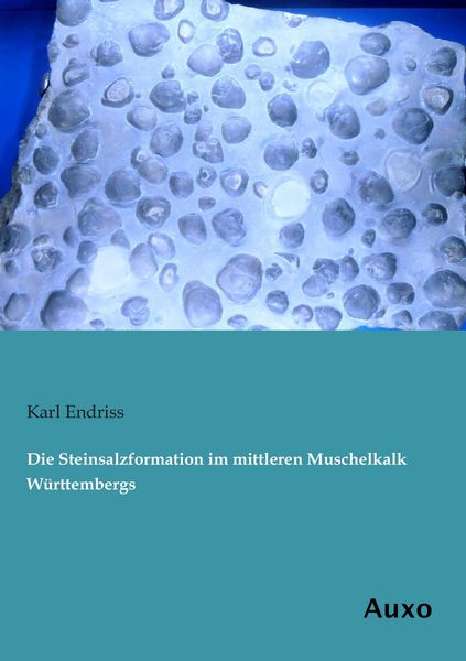 Produktbild: Die Steinsalzformation im mittleren Muschelkalk W&uuml;rttembergs