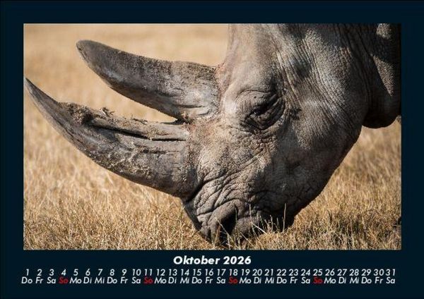 Produktbild: Tiere im Zoo 2026 Fotokalender DIN A5