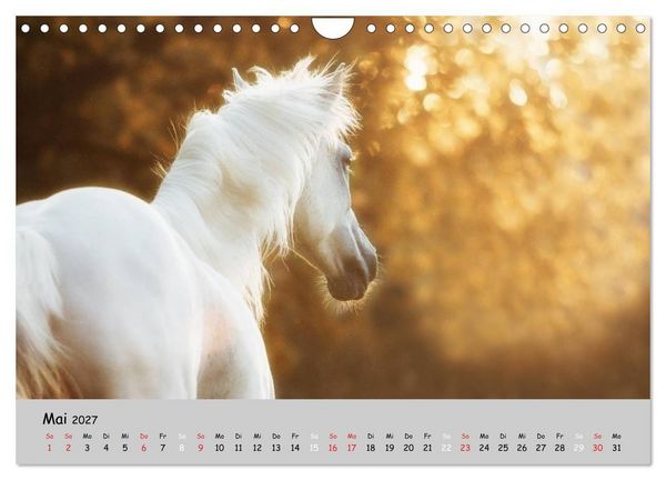 Produktbild: Pferde - Anmut und St&auml;rke gepaart mit Magie (Wandkalender 2027 DIN A4 quer), CALVENDO Monatskalender