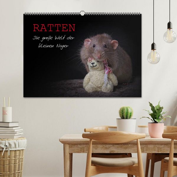 Produktbild: Ratten. Die gro&szlig;e Welt der kleinen Nager (Wandkalender 2026 DIN A2 quer), CALVENDO Monatskalender