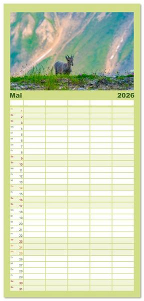 Produktbild: Familienplaner 2026 - Bergk&ouml;nige - Steinb&ouml;cke im Blickpunkt der Naturfotografie mit 5 Spalten (Wandkalender, 21 x 45 cm) CALVENDO