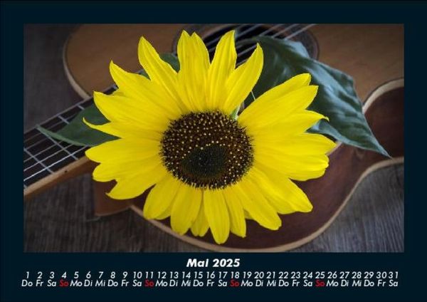 Produktbild: Blumenzauber 2025 Fotokalender DIN A5