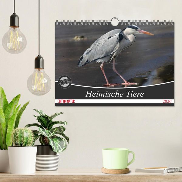 Produktbild: Heimische Tiere (Wandkalender 2026 DIN A4 quer), CALVENDO Monatskalender
