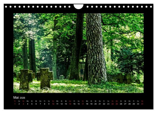 Produktbild: Heidelberg Views - Heidelberger Ansichten (Wandkalender 2026 DIN A4 quer), CALVENDO Monatskalender