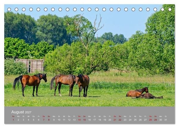 Produktbild: Naturerlebnis im Biosph&auml;renreservat Dr&ouml;mling (Tischkalender 2027 DIN A5 quer), CALVENDO Monatskalender