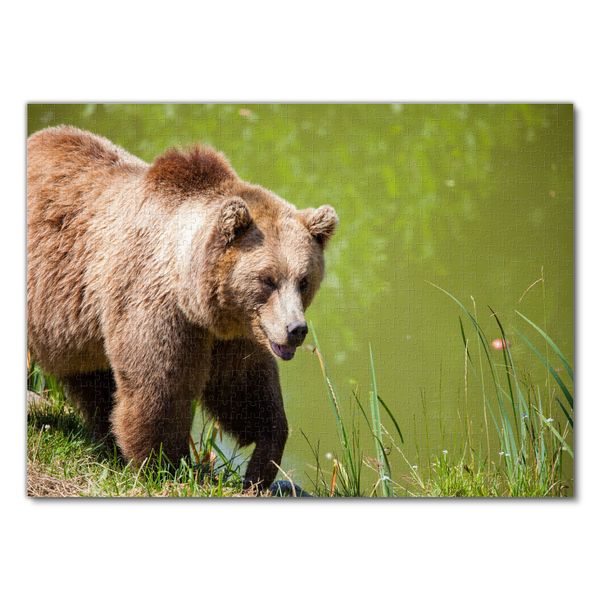 Produktbild: Lais Puzzle B&auml;r 1000 Teile