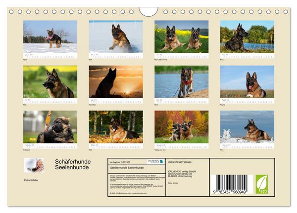 Produktbild: Sch&auml;ferhunde Seelenhunde (Wandkalender 2026 DIN A4 quer), CALVENDO Monatskalender