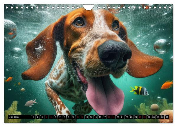 Produktbild: Badespa&szlig; - Hunde unter Wasser (Wandkalender 2026 DIN A4 quer), CALVENDO Monatskalender