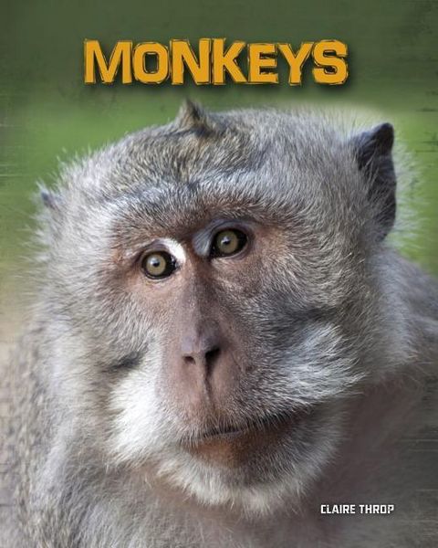 Produktbild: Monkeys