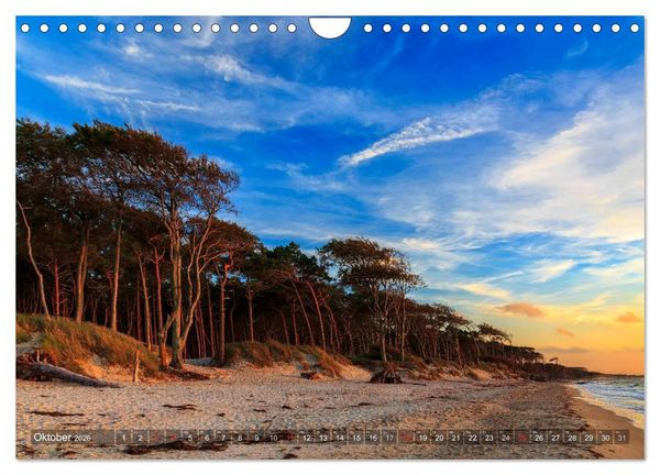 Produktbild: Stimmungsvolle Ostseek&uuml;ste 2026 (Wandkalender 2026 DIN A4 quer), CALVENDO Monatskalender