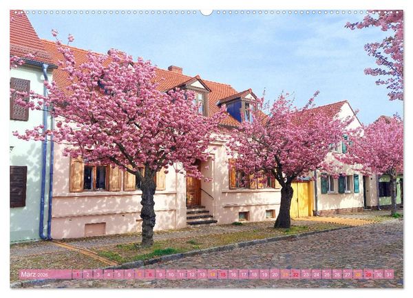 Produktbild: Werder (Havel) - Die Altstadtinsel (hochwertiger Premium Wandkalender 2026 DIN A2 quer), Kunstdruck in Hochglanz
