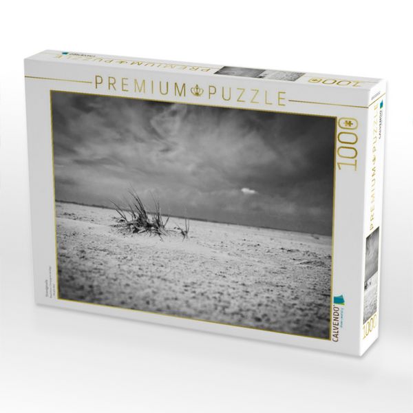 Produktbild: CALVENDO Puzzle Strandgeselle | 1000 Teile Lege-Gr&ouml;&szlig;e 64x48cm Foto-Puzzle f&uuml;r gl&uuml;ckliche Stunden