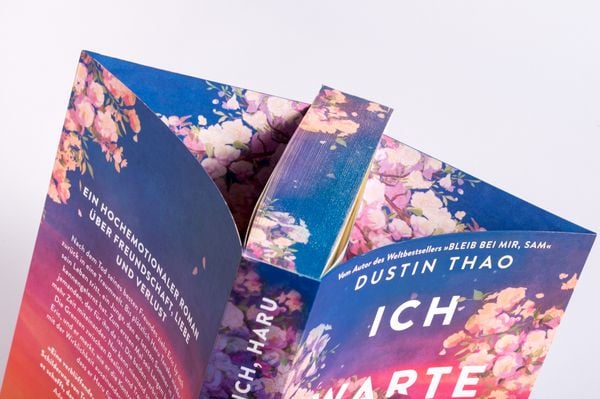 Produktbild: Ich warte auf dich, Haru
