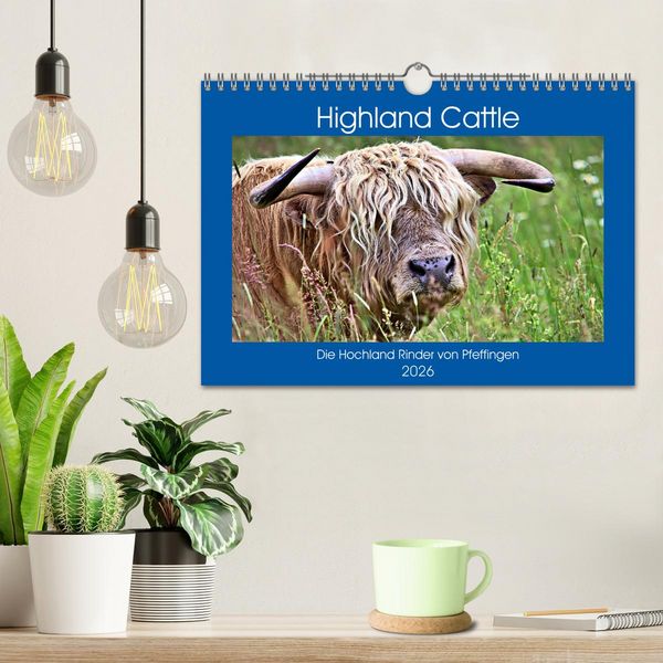 Produktbild: Highland Cattle, die Hochlandrinder aus Pfeffingen (Wandkalender 2026 DIN A4 quer), CALVENDO Monatskalender