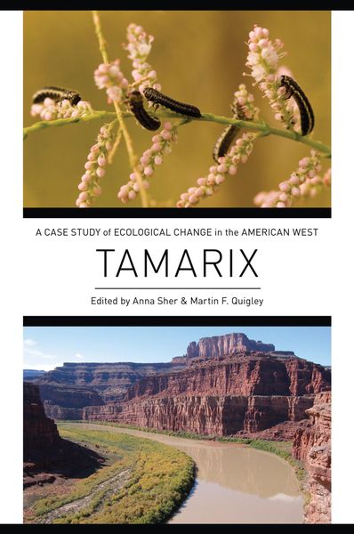 Produktbild: Tamarix